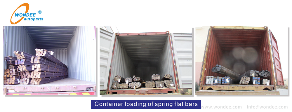 WONDEE Spring steel flat bar (9)